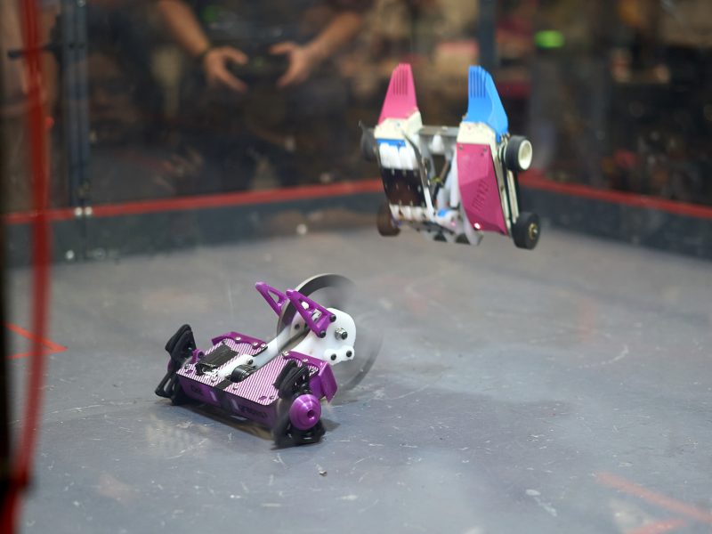 Picture credit: Stuart Camp